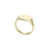 Anillo de sello Ellis de acero inoxidable dorado