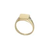 Anillo de sello Ellis de acero inoxidable dorado
