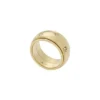 Anillo Fidget Band Sadie Shine Bright de acero inoxidable dorado Anillo Fidget Band Sadie Shine Bright de acero inoxidable dorado