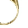 Colección Ellis Domed Anillo de acero inoxidable dorado