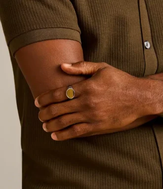 Colección Ellis Signet Anillo con sello de ojo de tigre marrón