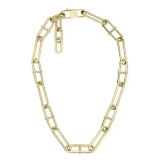 Collar con cadena de acero inoxidable dorado Heritage D-Link