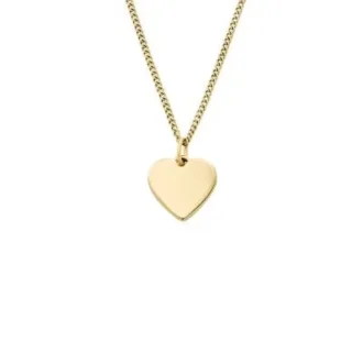 Collar Ellis Heart de acero inoxidable dorado