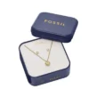 Conjunto de regalo de collar y pendientes de acero inoxidable dorado con forma de corazón Sadie