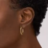 Pendientes de aro de acero inoxidable dorado Ellis Essentials Pendientes de aro de acero inoxidable dorado Ellis Essentials